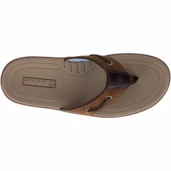 Sperry Top-Sider Men's Baitfish Flip-Flops Brown / Buc / Brown 12 Sperry Top-Sider Men's Baitfish Flip-Flops Brown / Buc / Brown -Sperry Top-Sider 1048735 TOP