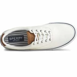 Sperry Top-Sider Men's Striper II CVO Sneaker Salt Washed White 12 Sperry Top-Sider Men's Striper II CVO Sneaker Salt Washed White -Sperry Top-Sider STS22043 TOP