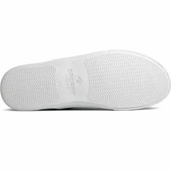 Sperry Top-Sider Men's Striper II Slip On Sneaker Navy -Sperry Top-Sider STS22405 OUT