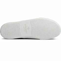 Sperry Top-Sider Men's Striper II CVO Sneaker Salt Washed Black 13 Sperry Top-Sider Men's Striper II CVO Sneaker Salt Washed Black -Sperry Top-Sider STS22513 OUT