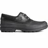 Sperry Top-Sider Men's Cold Bay 3-Eye Duck Boot W/ Thinsulate™ Black 1 Sperry Top-Sider Men's Cold Bay 3-Eye Duck Boot W/ Thinsulate™ Black -Sperry Top-Sider STS23681 000