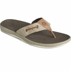 Sperry Top-Sider Men's SeaCycled™ Baitfish Baja Flip Flop Taupe -Sperry Top-Sider STS25229