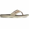 Sperry Top-Sider Men's SeaCycled™ Baitfish Baja Flip Flop Taupe -Sperry Top-Sider STS25229 000