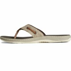 Sperry Top-Sider Men's SeaCycled™ Baitfish Baja Flip Flop Taupe -Sperry Top-Sider STS25229 180