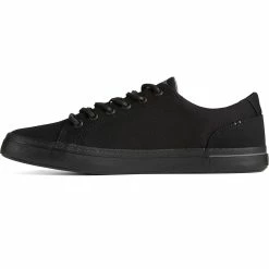 Sperry Top-Sider Men's SeaCycled™ Striper II Textile Sneaker Black -Sperry Top-Sider STS25431 180