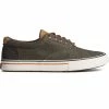 Sperry Top-Sider Men's Seacycled™ Striper Storm CVO Sneaker Olive
