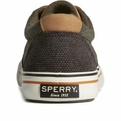 Sperry Top-Sider Men's Seacycled™ Striper Storm CVO Sneaker Olive -Sperry Top-Sider STS25466 90