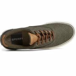 Sperry Top-Sider Men's Seacycled™ Striper Storm CVO Sneaker Olive -Sperry Top-Sider STS25466 TOP